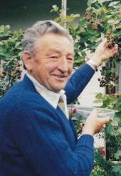 Weimller - Adolf