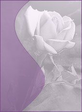 Thornton - Viola